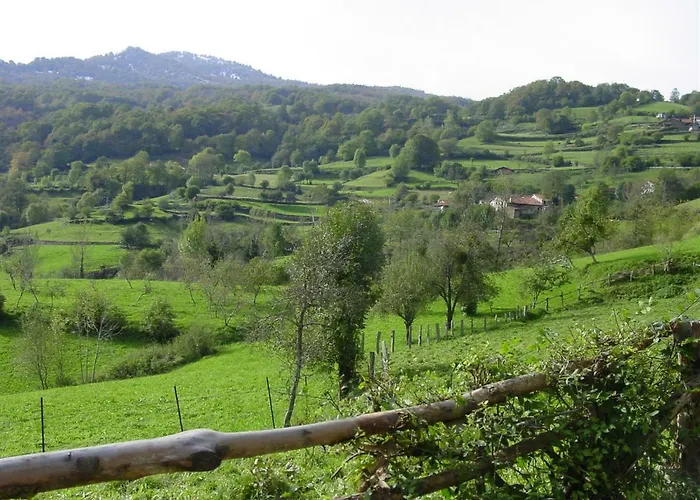 Coviellador Cangas De Onís