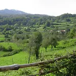 Coviellador Cangas De Onis